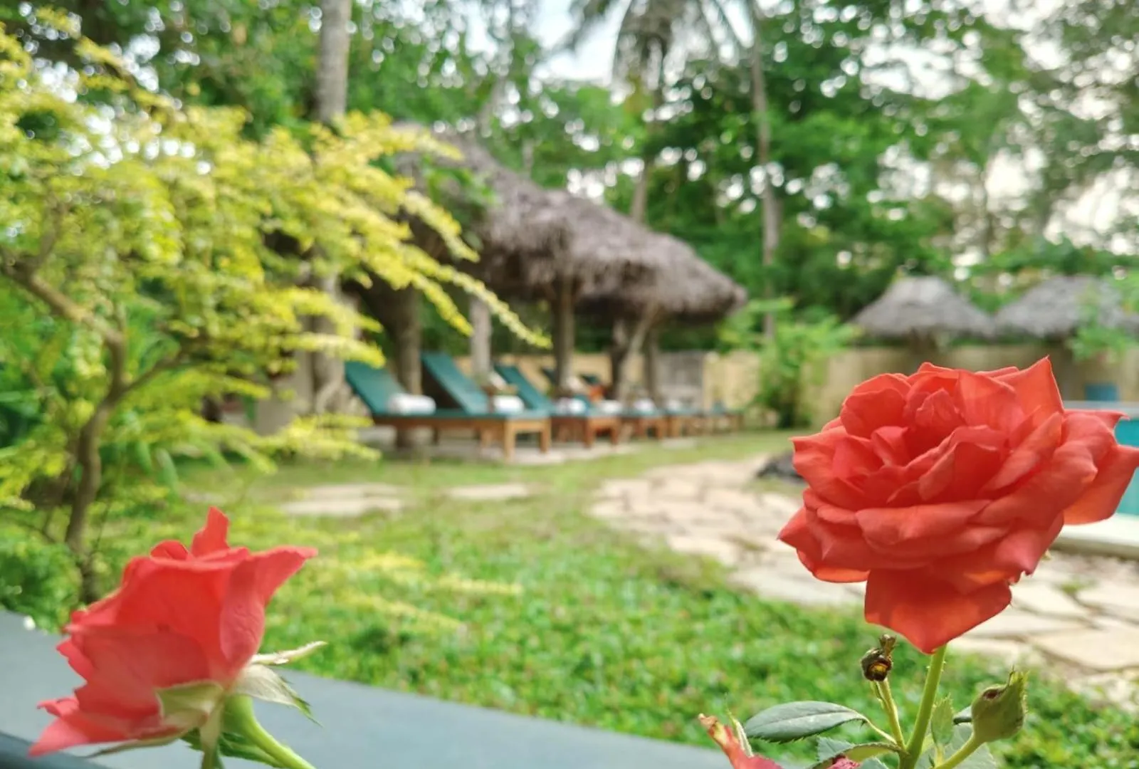 Country house Marari Beach Bungalow Resort Alleppey Mararikulam
