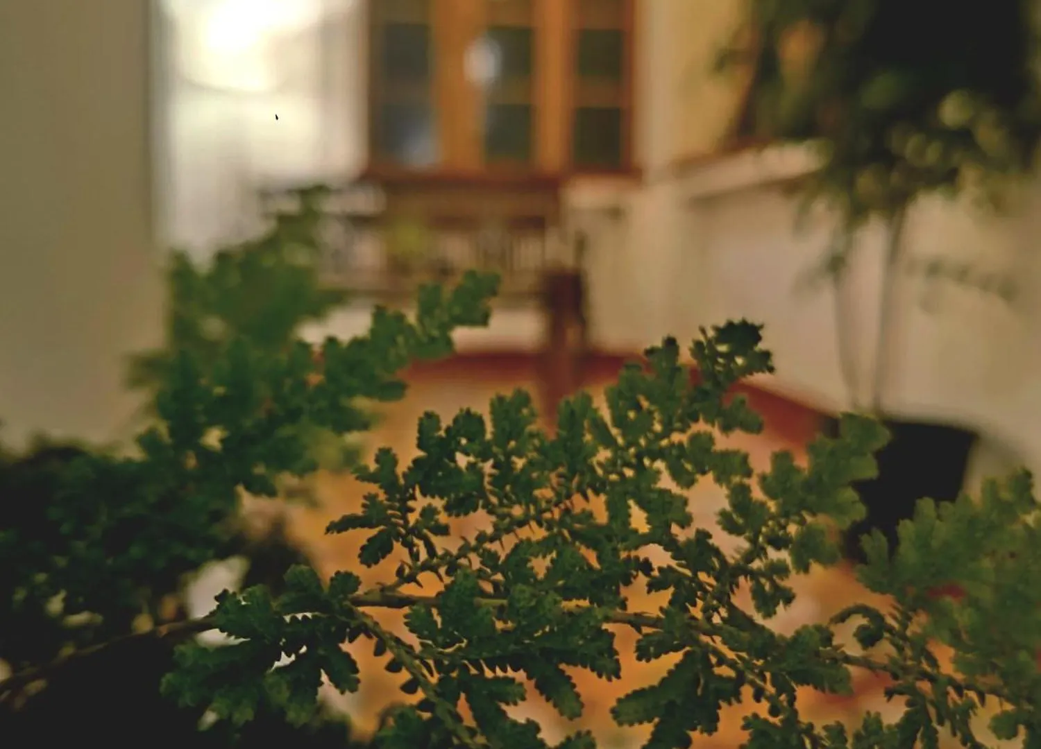 Marari Beach Bungalow Resort Alleppey Mararikulam Country house